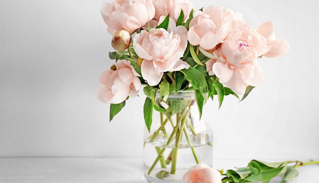 Helps to clean Flower Vases Arm & Hammer Arabia